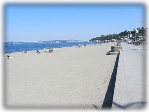 Sandy Alki Beach with Seattle views