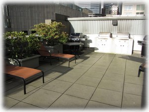 5th floor SE tower roof top deck w/ BBQ's and views